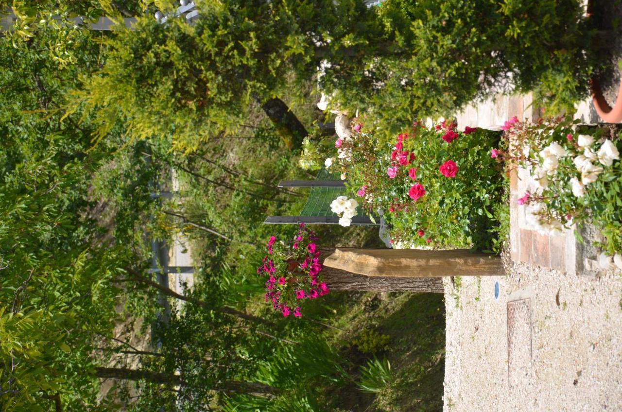 B&B La Terrazza Del Subasio Assise Extérieur photo