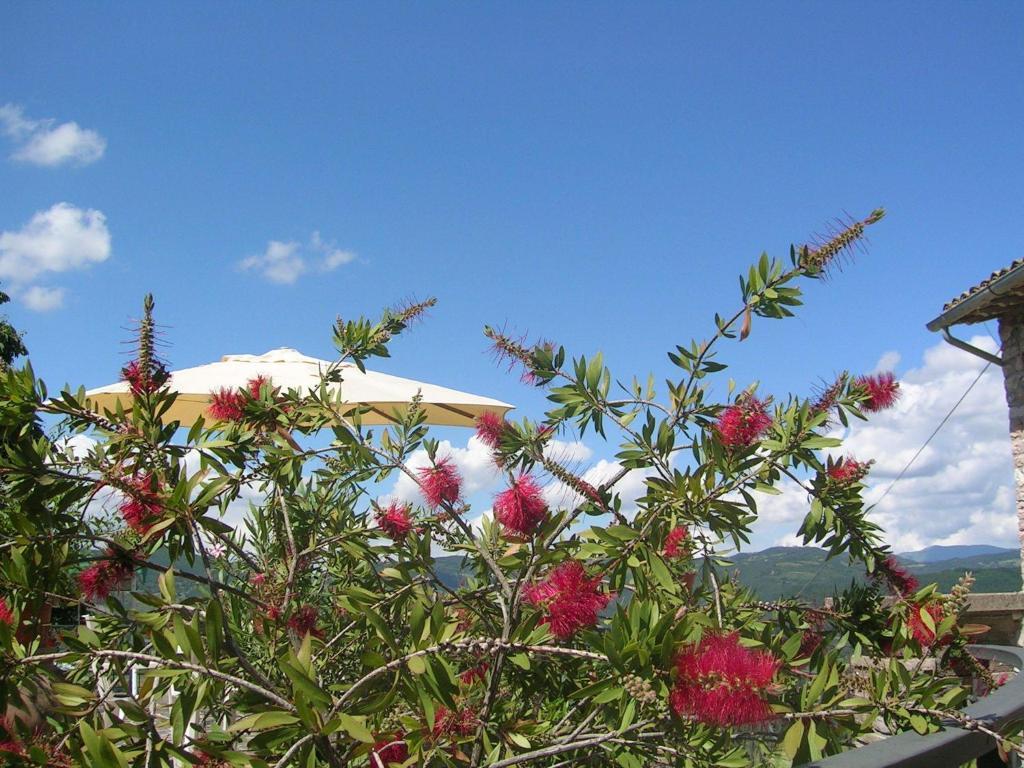 B&B La Terrazza Del Subasio Assise Chambre photo